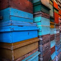 Melari 9\12 completi