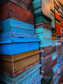 Melari 9\12 completi