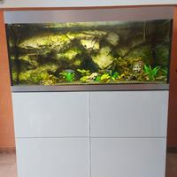 Acquario Oase HighLine optiwhite 300 litri