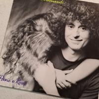 branduardi - Pane e rose