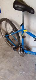 Mountain bike 