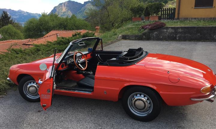ALFA ROMEO Spider Duetto 1750 (Osso di Seppia)