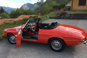 ALFA ROMEO Spider Duetto 1750 (Osso di Seppia)