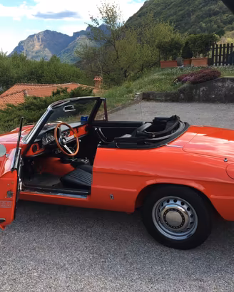 ALFA ROMEO Spider Duetto 1750 (Osso di Seppia)