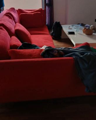 divano rosso e mobile living