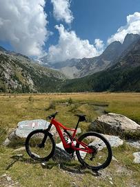 SPECIALIZED TURBO LEVO COMP M5 - MY 20020 - L
