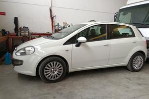 fiat punto diesel 