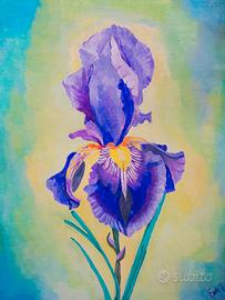 dipinto acrilico Iris 
