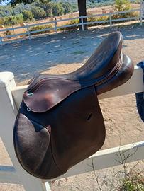 varie selle da equitazione inglese da salto 