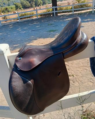 varie selle da equitazione inglese da salto 