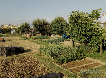 Terreno agricolo orto