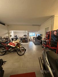 Show-room -ufficio milano