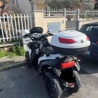 Quadro Quadro 4 - 2018