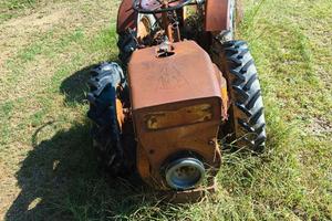 motocoltivatore  pasquali