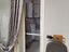 Immagine 14