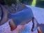 Immagine 5
