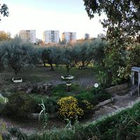 Terreno edificabile di circa 900mq a Lanciano