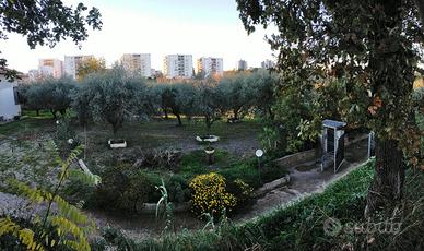 Terreno edificabile di circa 900mq a Lanciano