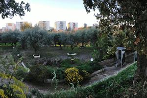 Terreno edificabile di circa 900mq a Lanciano