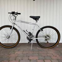 Bicicletta Mountain Bike