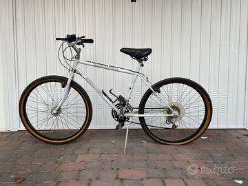 Bicicletta Mountain Bike
