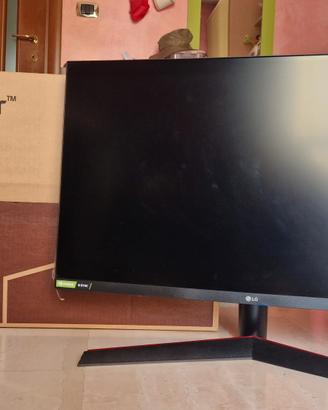 LG Ultragear 