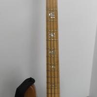 basso elettrico Bassistiitaliani/ Agbass