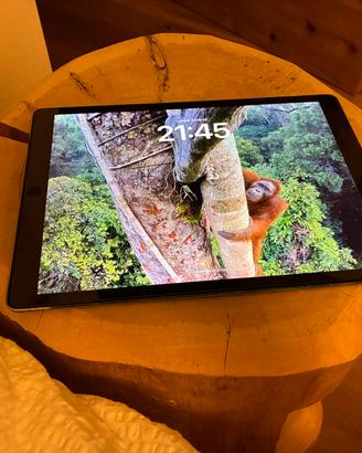Ipad pro