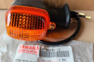 FRECCIA INDICATORE DIREZIONE POSTERIORE SX ORIGINA