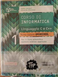 corso di informatica per liceo scientifico opzioni