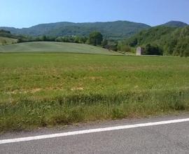 Antico mulino con 14 ettari di terreno agricolo