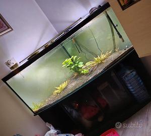 acquario angolare completo