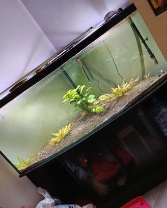 acquario angolare completo