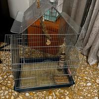 GABBIA PER PAPAGALLI