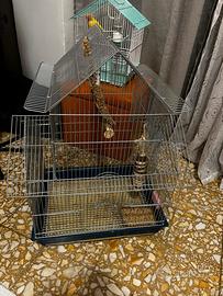 GABBIA PER PAPAGALLI