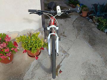 Bicicletta Bianchi 27.2 rossa