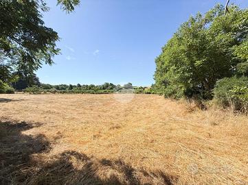 TER. AGRICOLO A NEPI