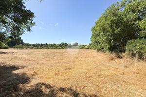 TER. AGRICOLO A NEPI