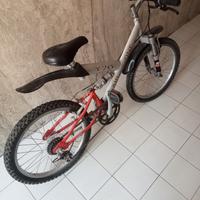 bicicletta MTB 20 pollici 