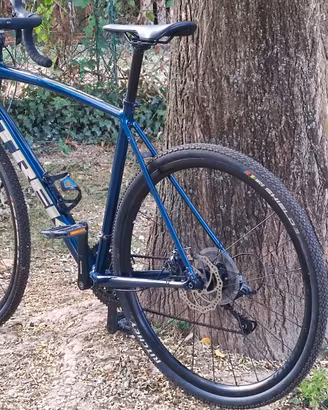 Endurance Trek Domane AL disc2