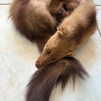 Sciarpa in vera pelliccia