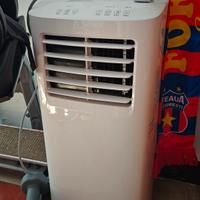 pinguino condizionatore Argo egon Eu classe A