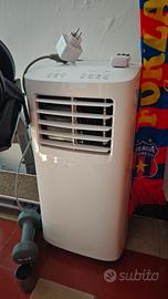 pinguino condizionatore Argo egon Eu classe A