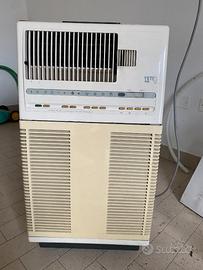 Condizionatore deumidificatore portatile