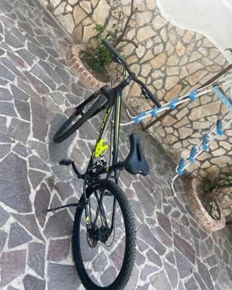 Bici da 29