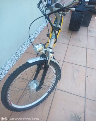 Bicicletta elettrica piaggio Albatros