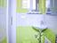 Immagine 13