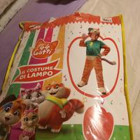 Vestiti di carnevale 