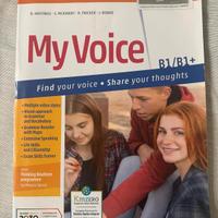 My voice