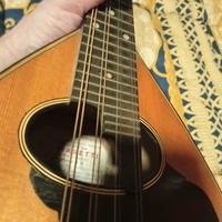 mandolino di liuteria fratelli Masetti anni 60